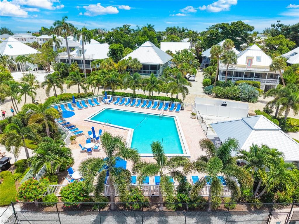 33 Urchin CT photo 38