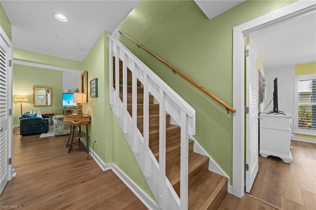 33 Urchin CT photo 19