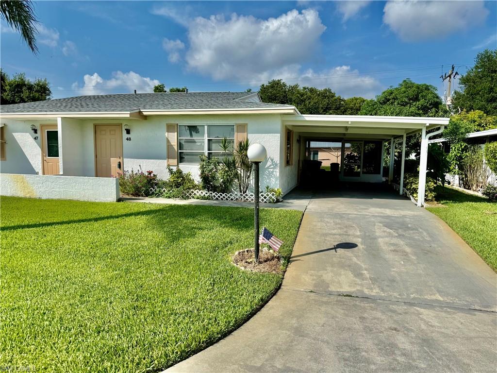 48 Heath Aster LN