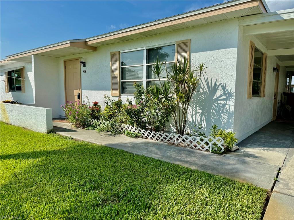 48 Heath Aster LN