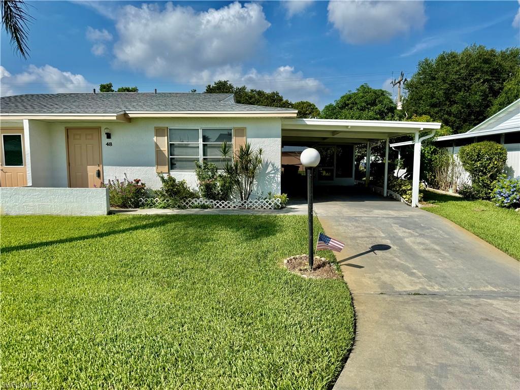 48 Heath Aster LN
