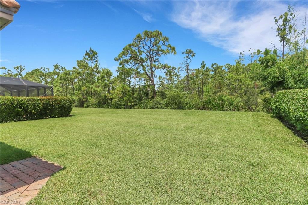 11295 Red Bluff LN photo 33
