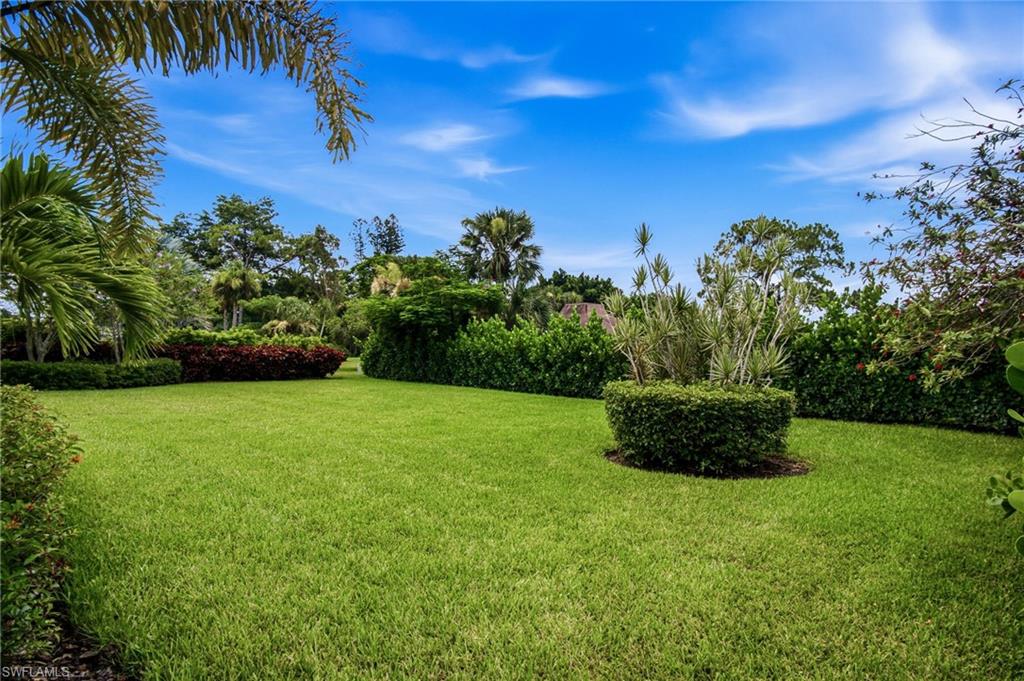 Spacious & lushly landscaped back yard with tons of room for a private pool.