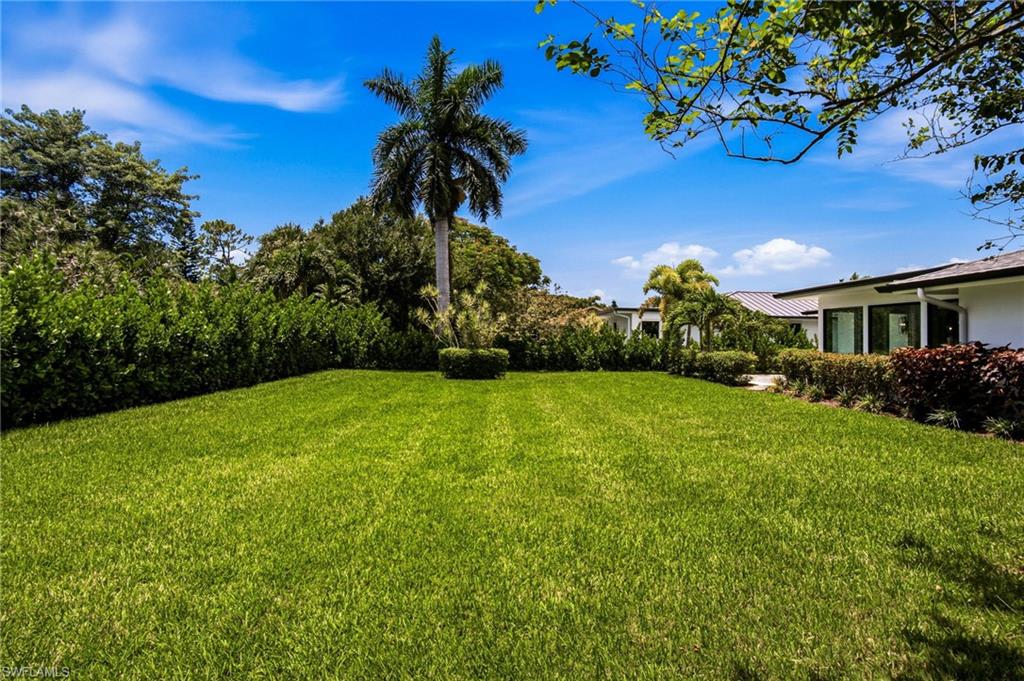 Spacious & lushly landscaped back yard with tons of room for a private pool.