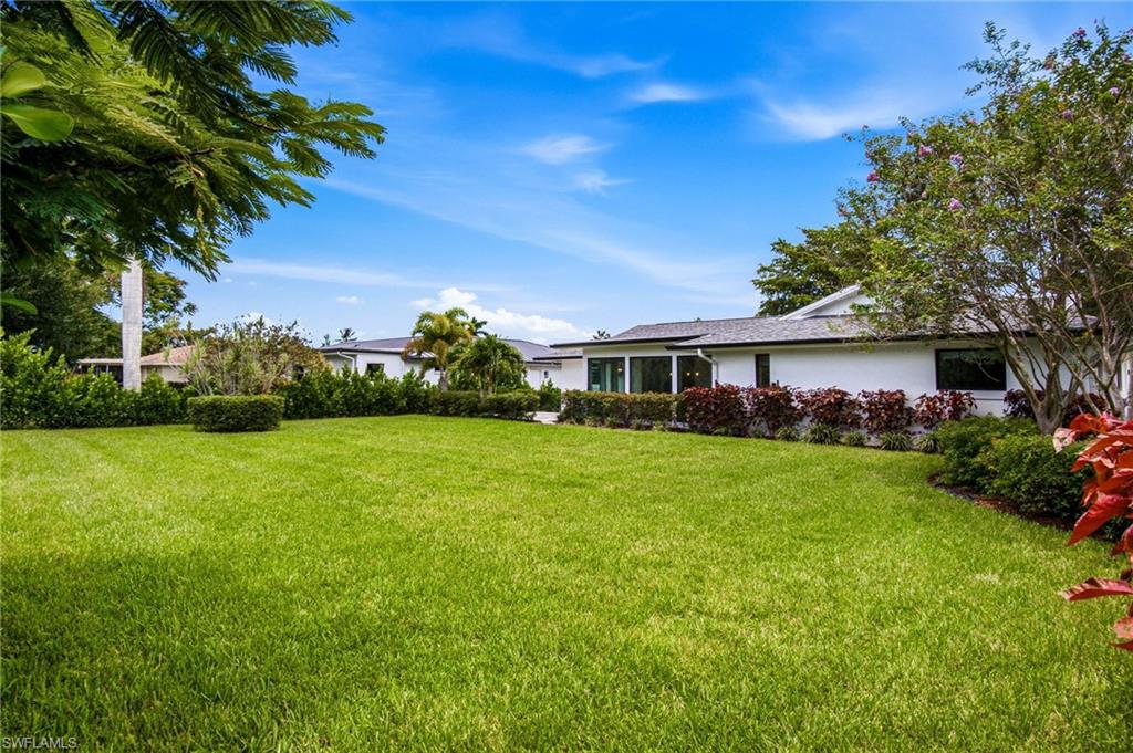 Spacious & lushly landscaped back yard with tons of room for a private pool.