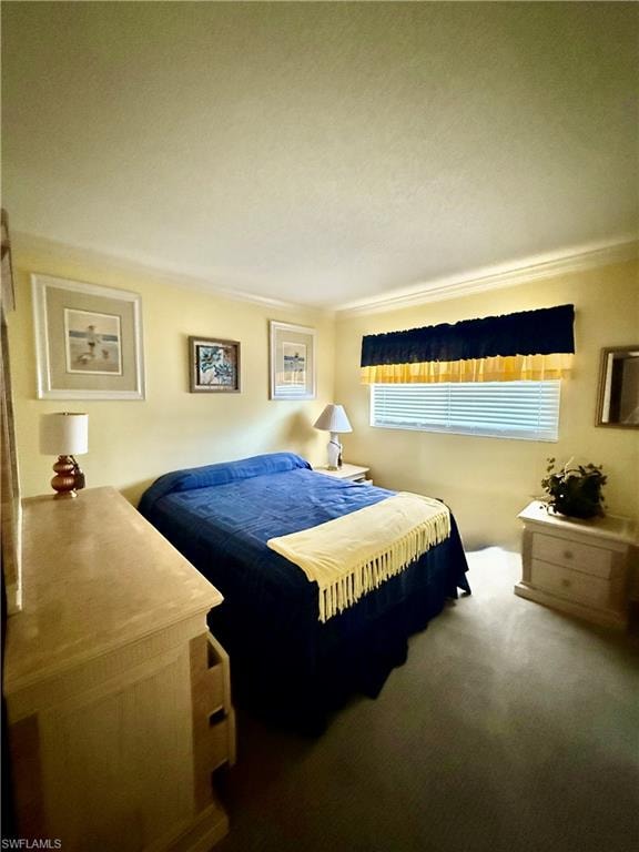 1 High Point CIR W 303 photo 15