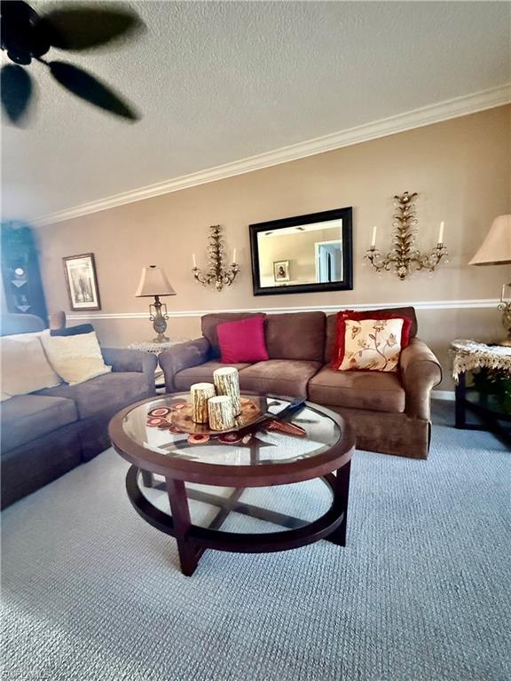 1 High Point CIR W 303 photo 8