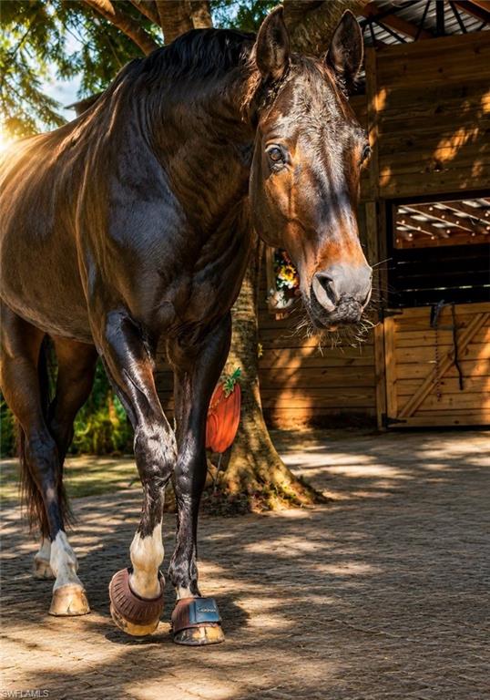 If your dream home needs room for horses, toys or both —— this refined “hobby farm”changes everything.