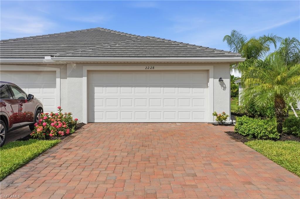 2228 Dragonfruit WAY