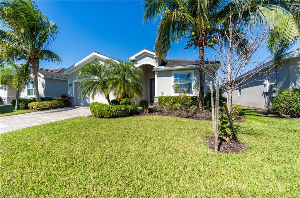 Light gray stucco exterior featuring a paved driveway, front entry archway, and mature palm trees