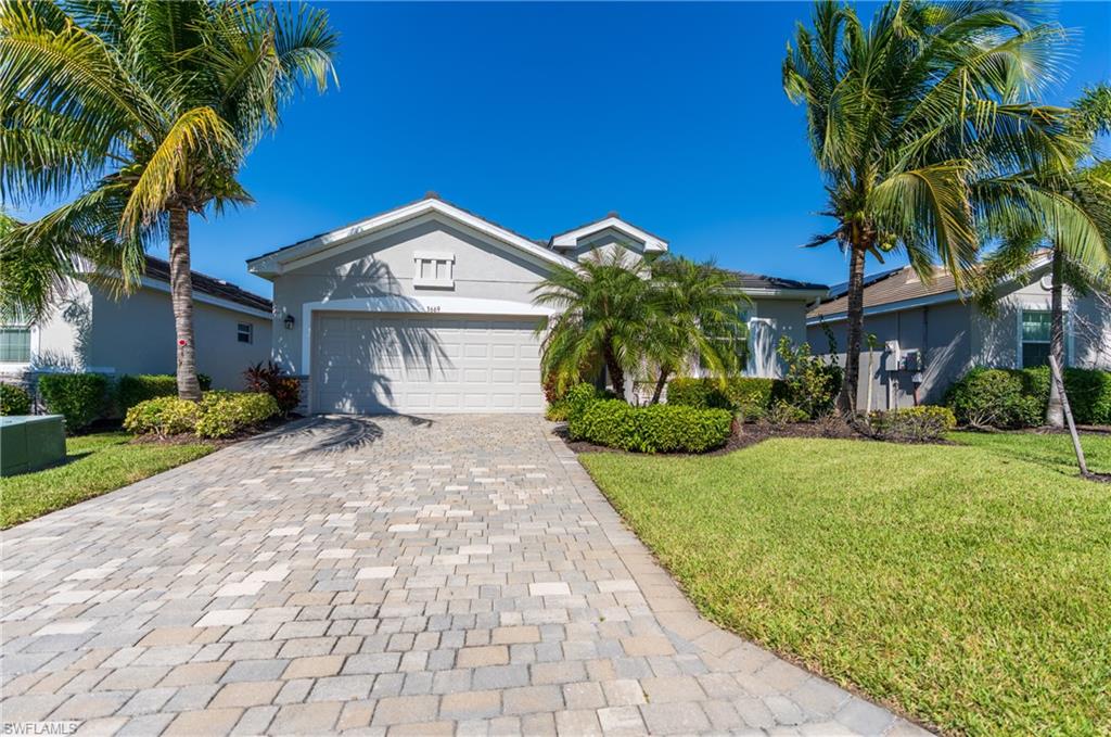 Contemporary single-story residence featuring a paver driveway, an attached garage, and mature palm trees