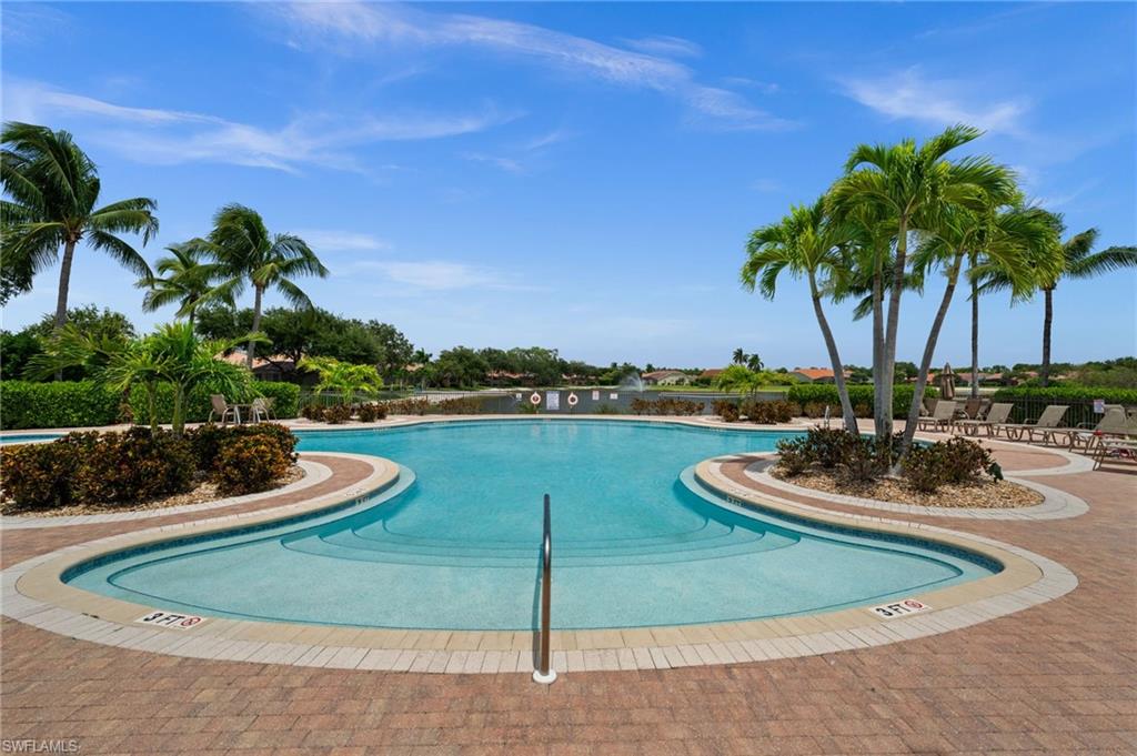 Resort-style pool with integrated steps, surrounding paver patio, and mature palm trees