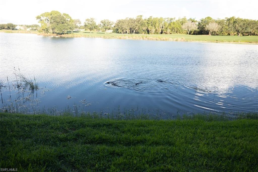 Water view