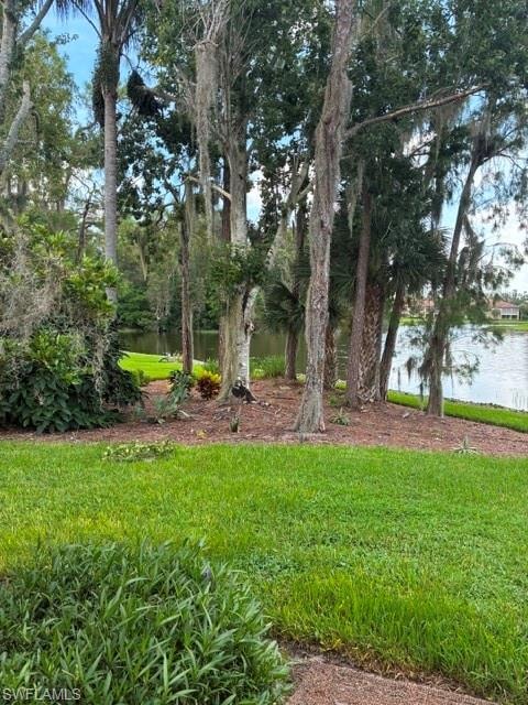20170 Golden Panther DR 4 photo 25