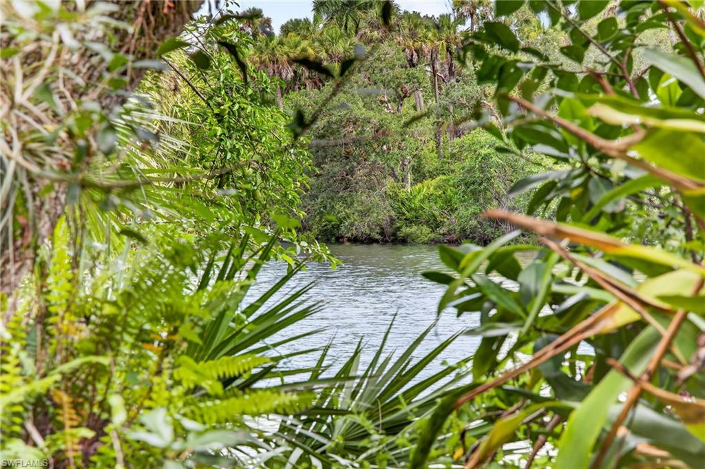 Side yard view of the Orange River