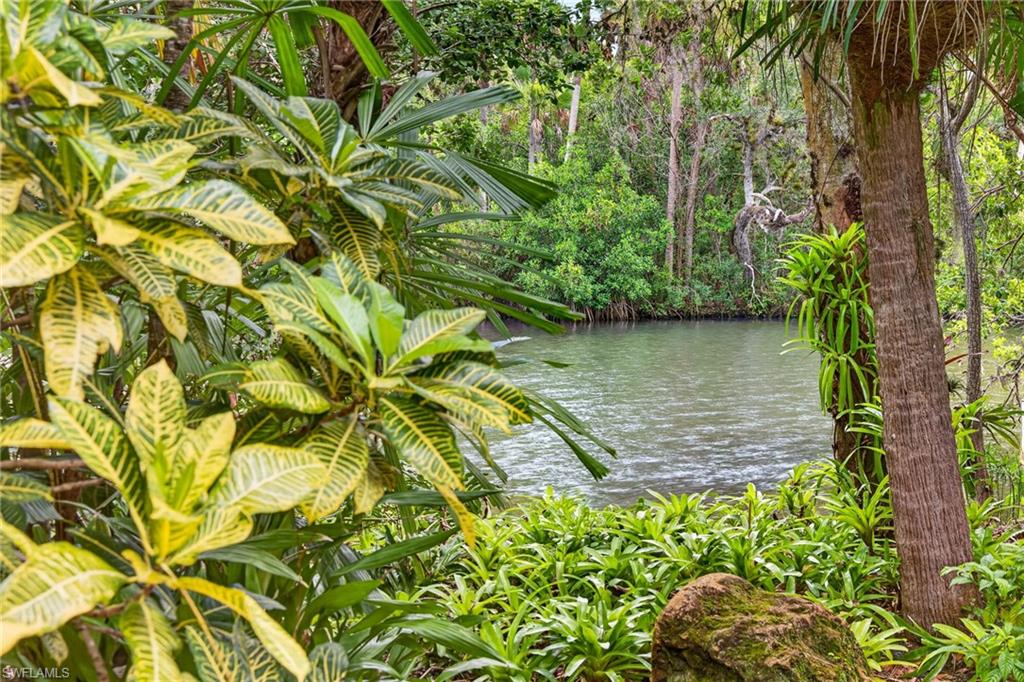 Waterfront wood-plank dock with lush tropical landscaping and mature trees