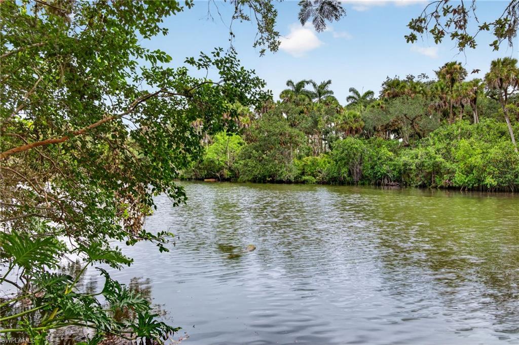 Stunning river view