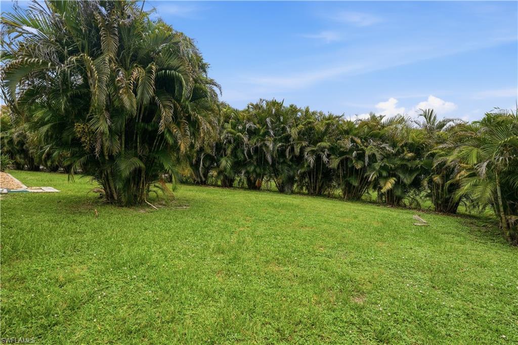 Expansive lawn area featuring a lush green surface and a border of mature palm trees