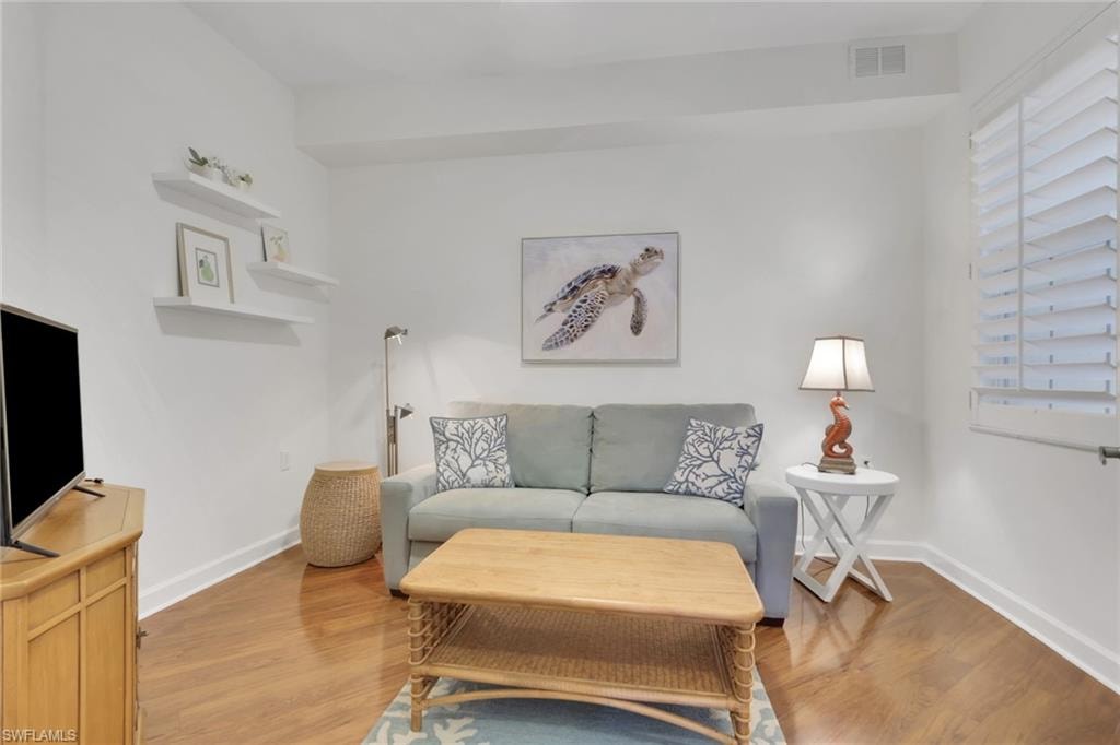 Den with pull out couch