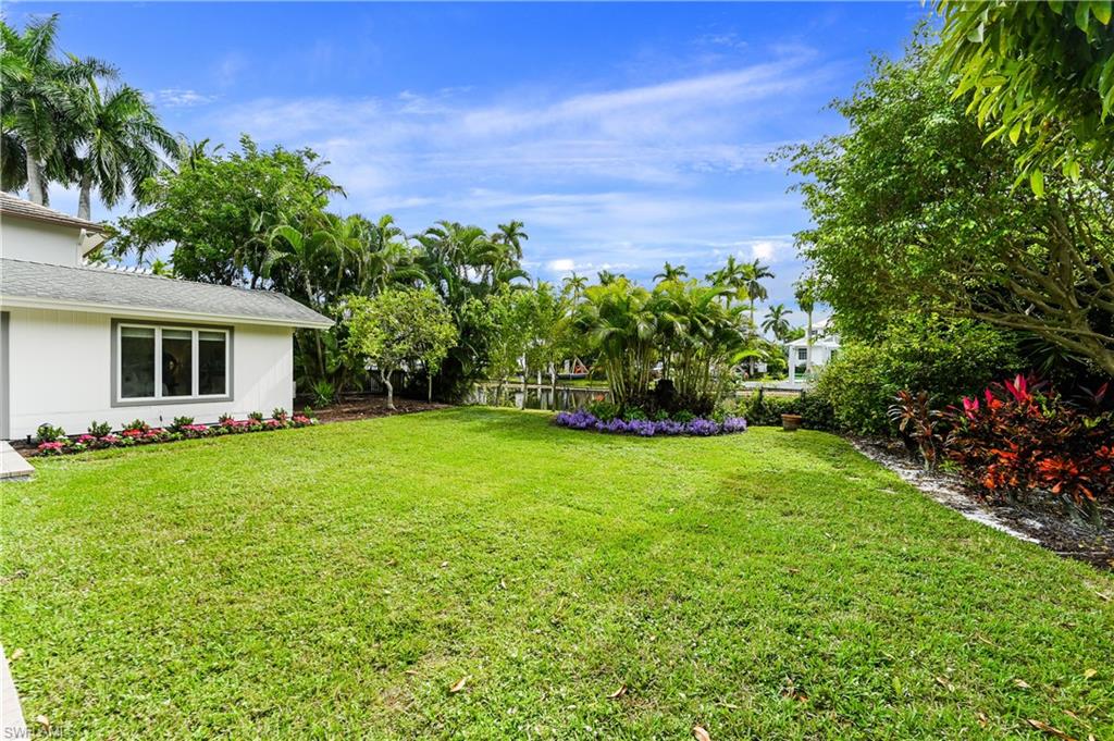 Fenced Back Yard
