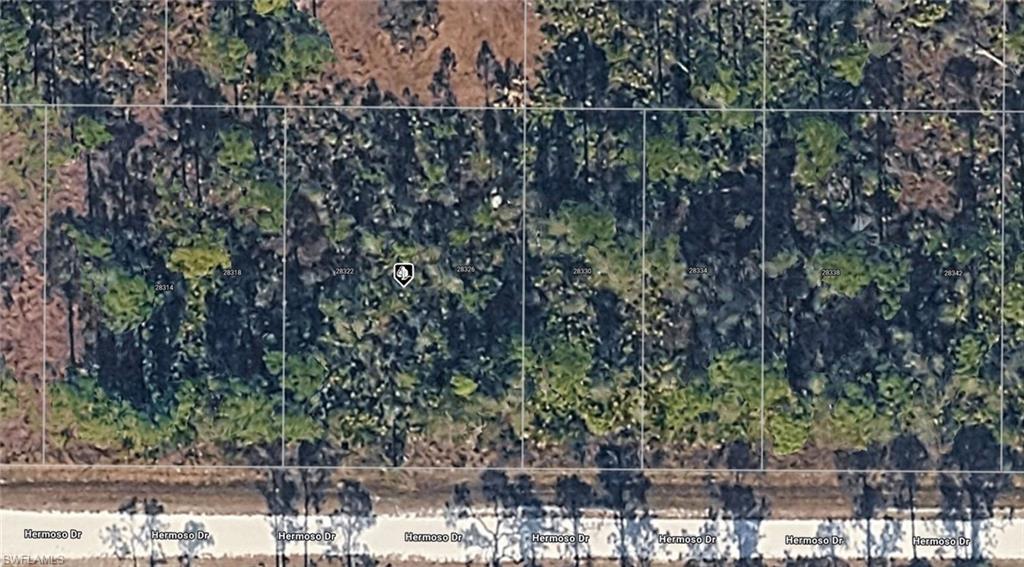 Aerial Map. Displaying the property's boundaries and surrounding terrain