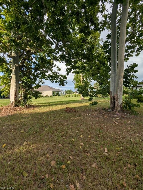 25248 Doredo DR photo 13