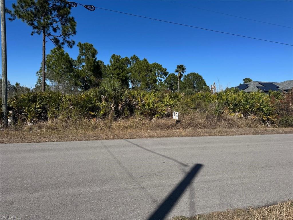 Cleared lot featuring mature pine trees and lush palm foliage, set against a clear blue sky