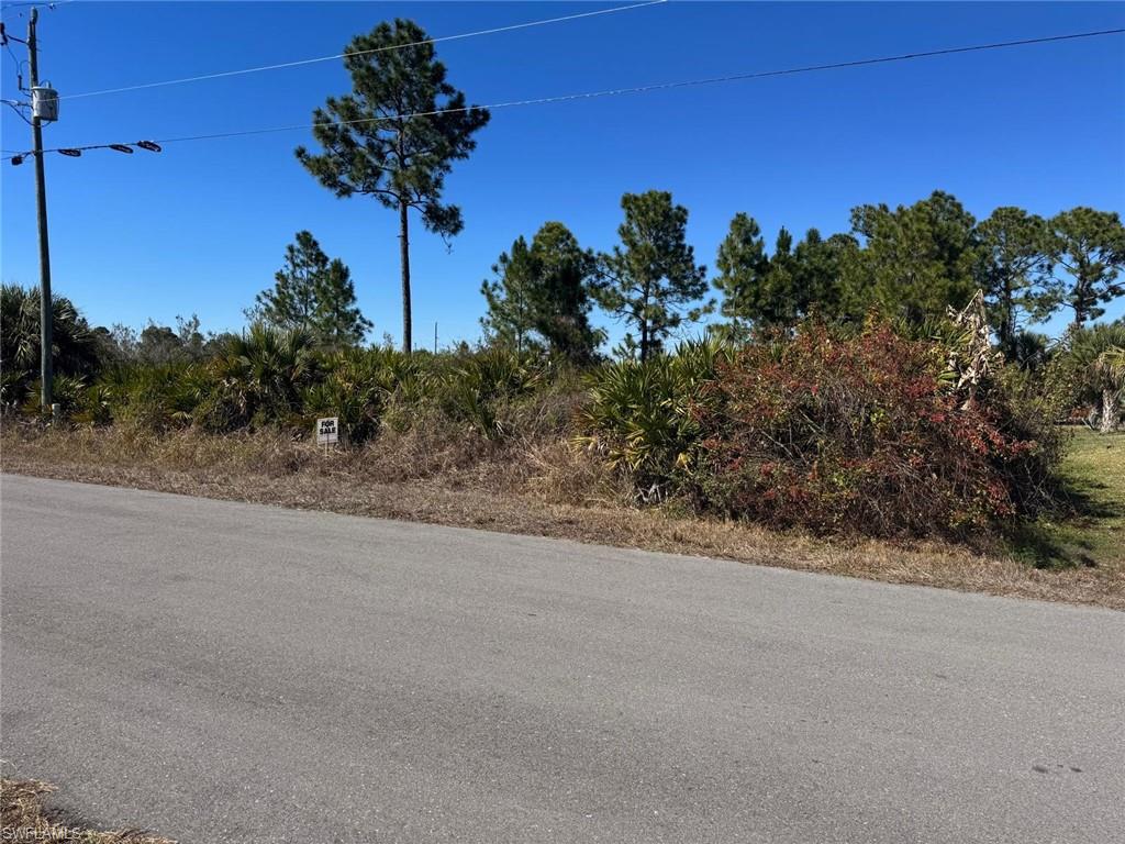 Vacant parcel featuring mature trees, diverse vegetation, and a clear blue sky