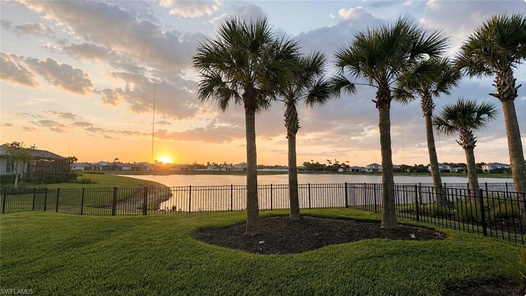 West view back yard y featuring mature palm trees and a black metal fence