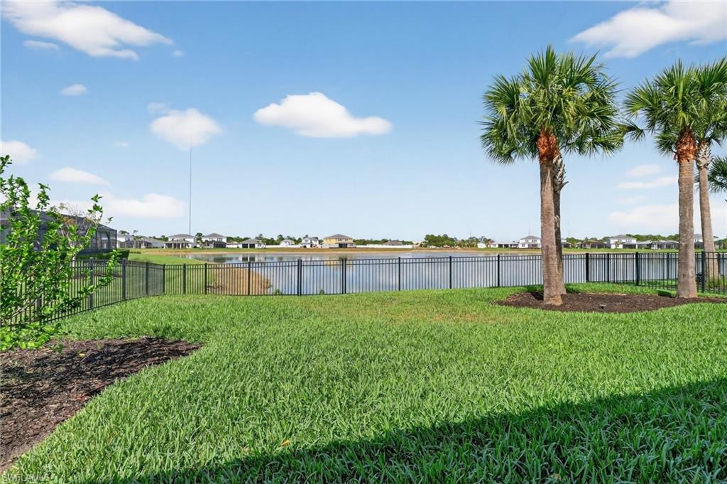 Fenced back yard