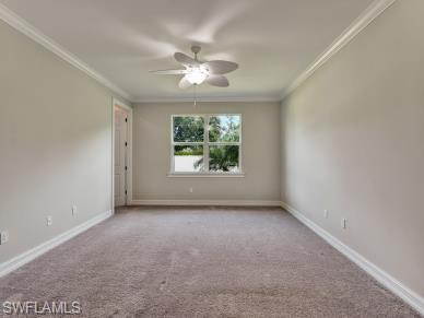 259 Tamarindo LN photo 13