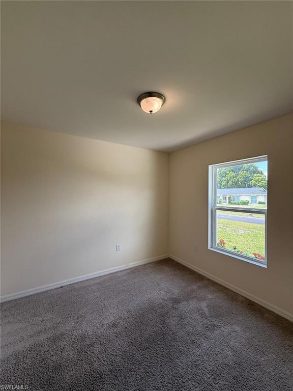 Carpeted room featuring a single window, neutral wall paint, white trim, and a ceiling-mounted light fixture