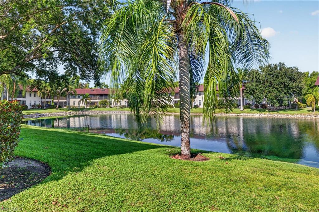 5365 Treetops DR S206 photo 22