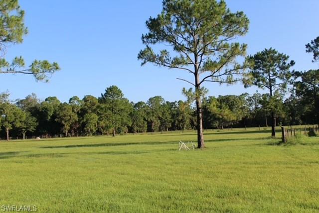 5460 Jackson RD photo 28