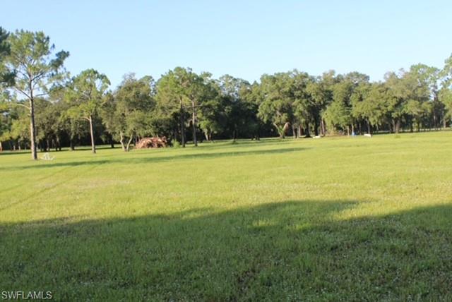 5460 Jackson RD photo 30