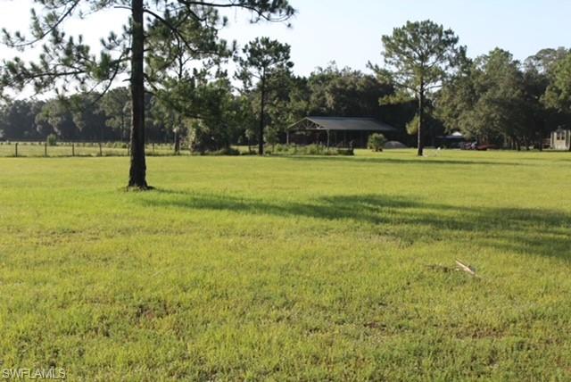 5460 Jackson RD photo 31