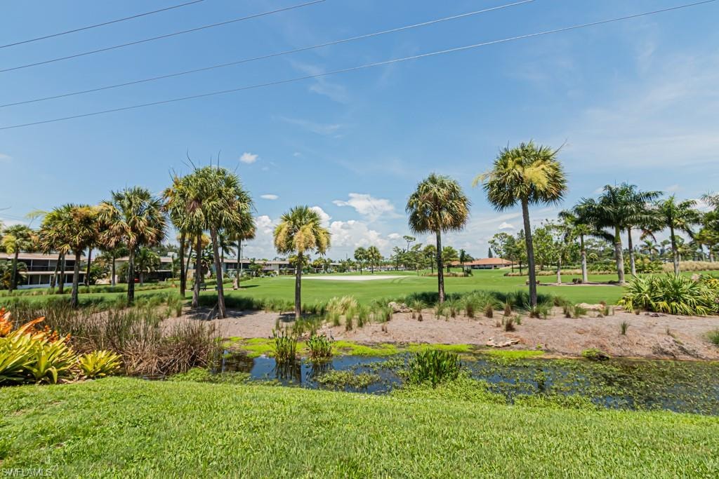 149 Palm DR 17 photo 47