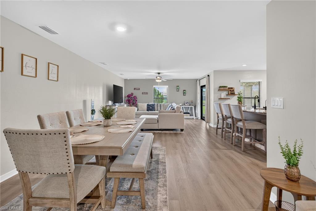 849 Sea Urchin CIR photo 8