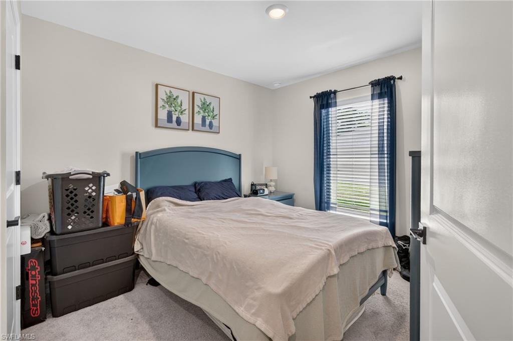 849 Sea Urchin CIR photo 21