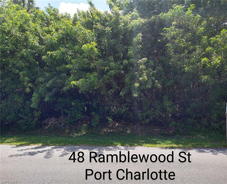 48 Ramblewood ST