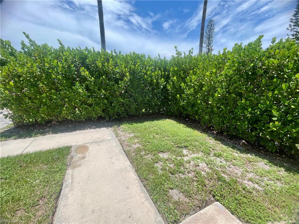 Manicured green hedge bordering a concrete walkway and natural grass area