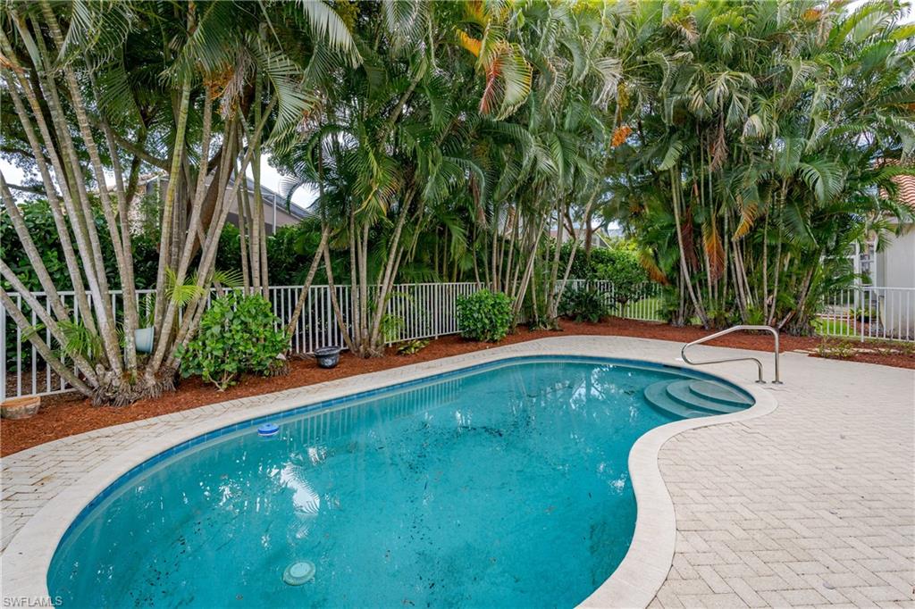 Curved swimming pool with integral steps, paver decking, surrounding tropical foliage, and perimeter fencing