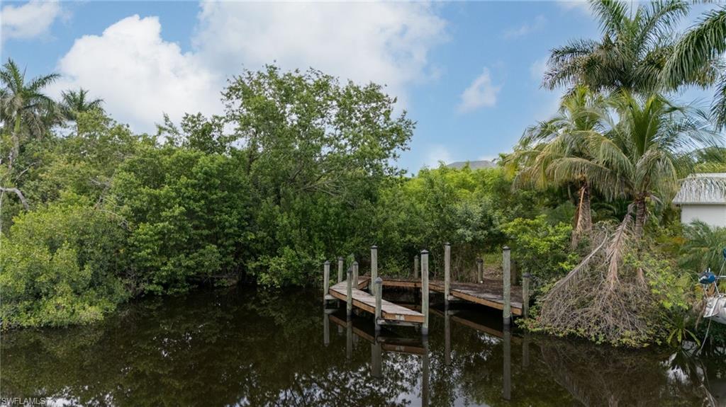 Waterfront property featuring a private wooden dock with pilings, surrounded by mature tropical foliage