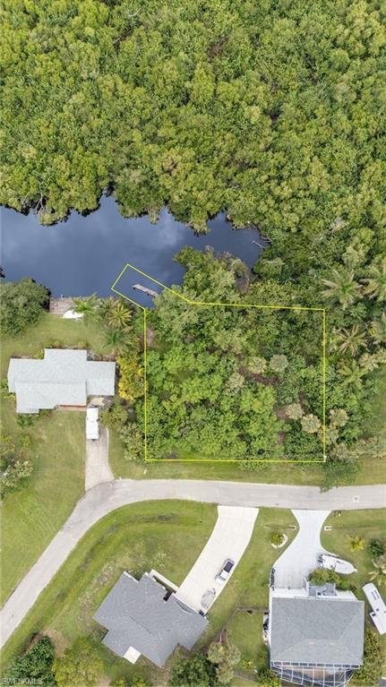Vacant land parcel featuring mature trees, direct water access, and a private dock structure