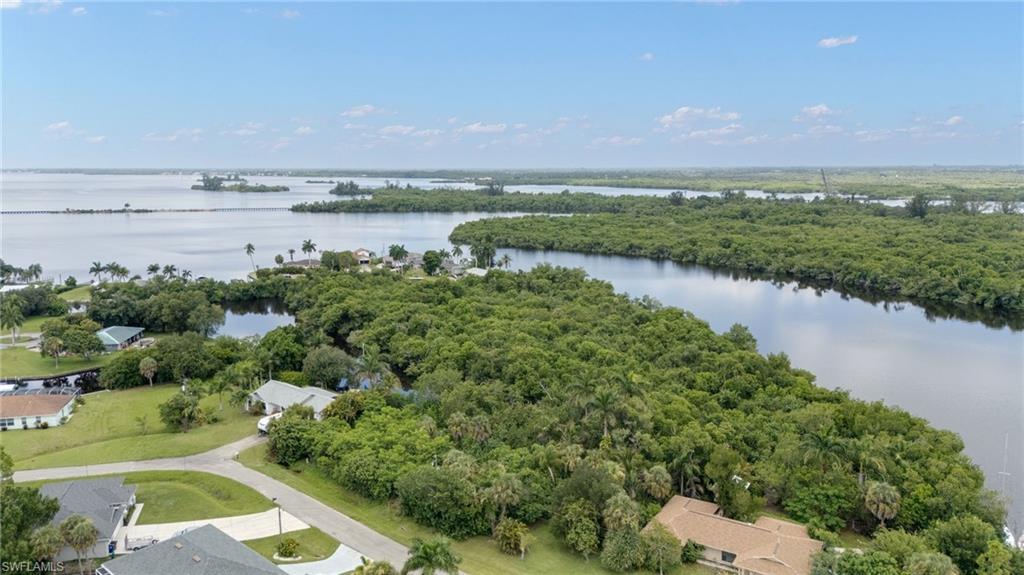 Expansive aerial capturing a wide waterway bordered by dense, mature foliage