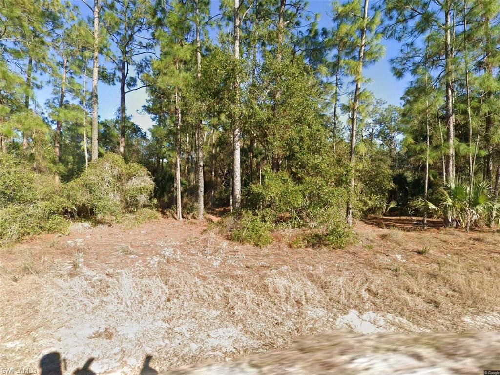 Wooded lot featuring mature pine trees and diverse native foliage