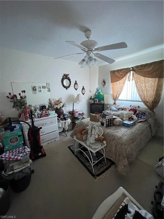 225 Lake DR photo 11