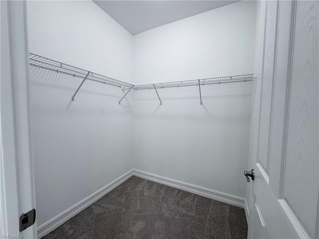 Spacious closet featuring dark carpet