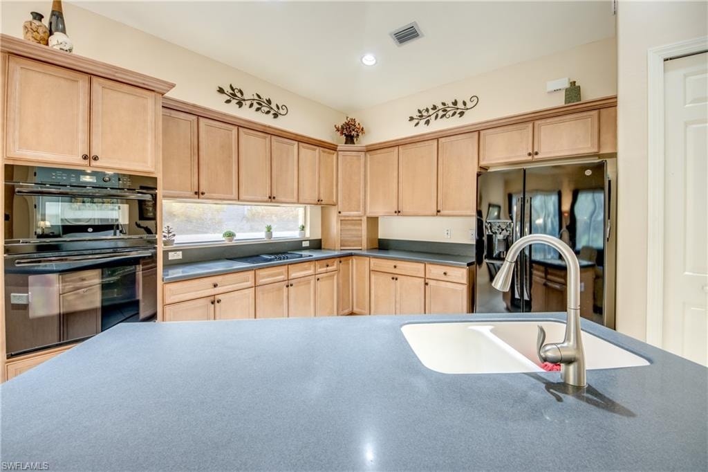 7533 Key Deer CT photo 19