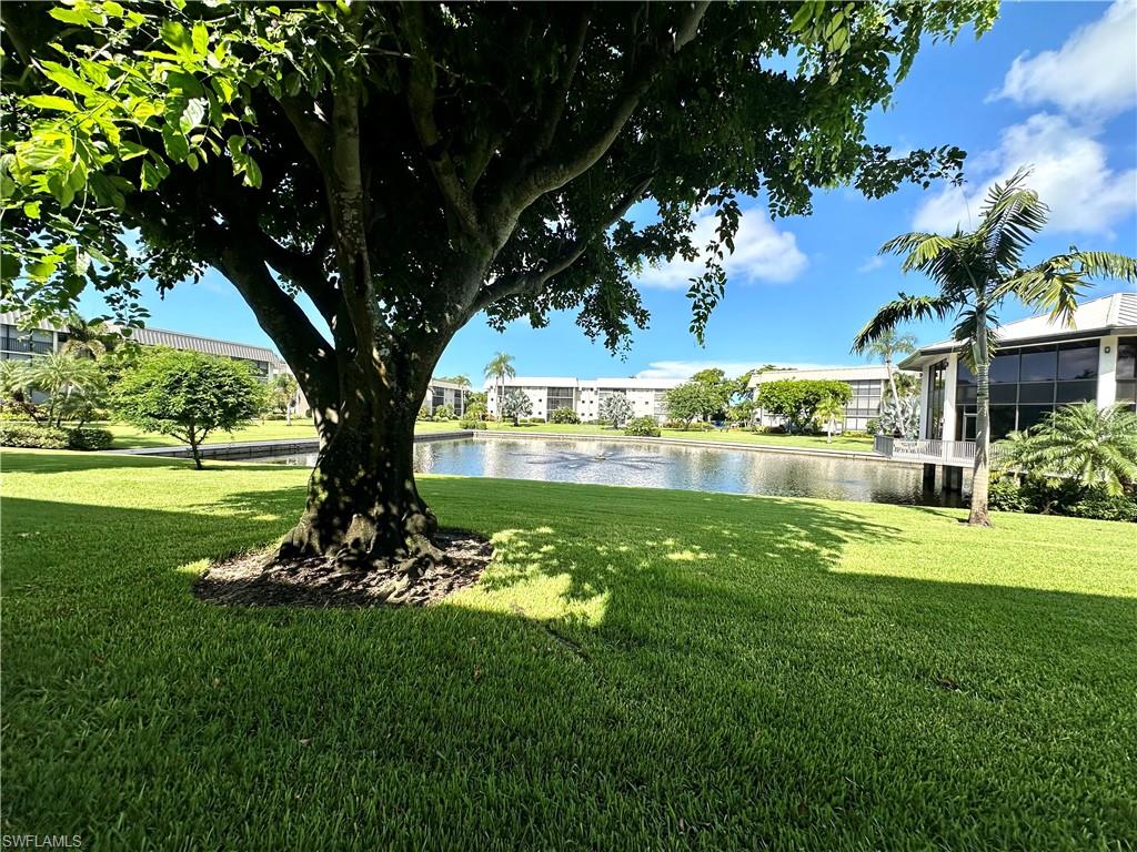 788 Park Shore DR D20 photo 32